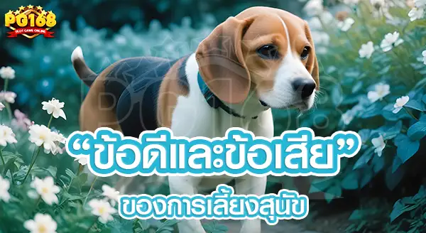 ข้อดีและข้อเสีย