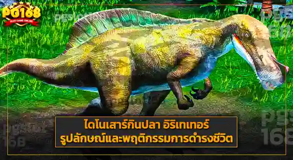 การค้นพบ อิริเทเทอร์