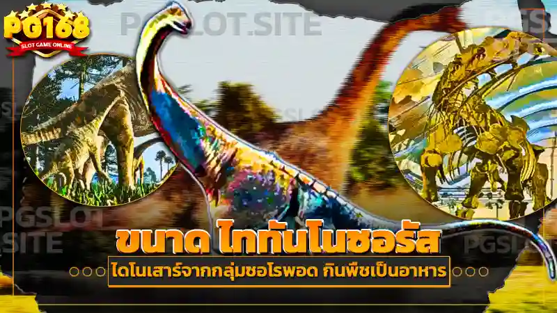 ขนาด ไททันโนซอรัส