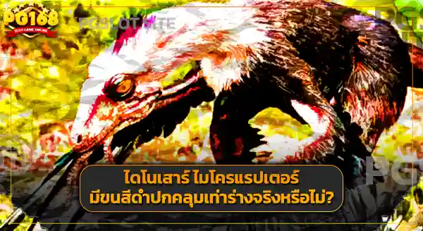 ประวัติฟอสซิล ไมโครแรปเตอร์